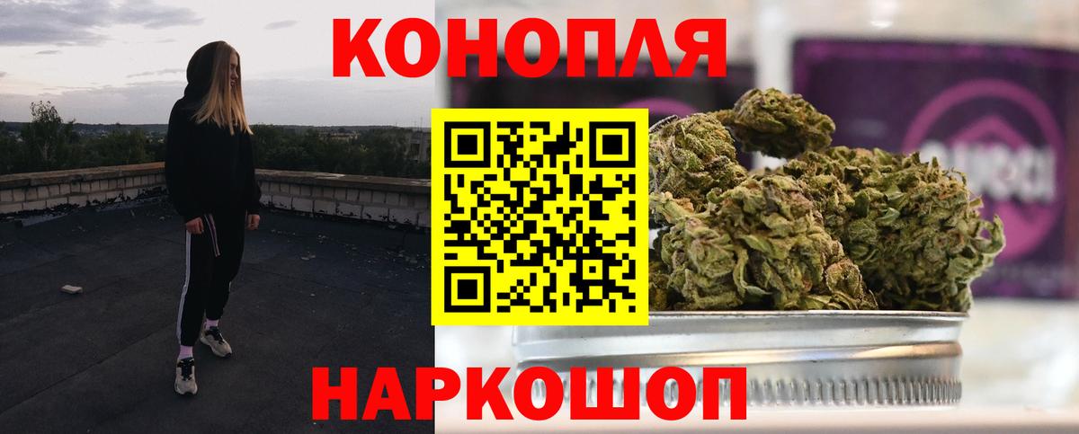 МЕФ Людиново